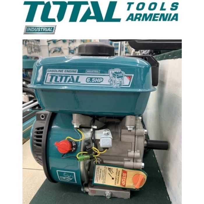 Бензиновый двигатель 6.5 л.с. (TGEN16821)